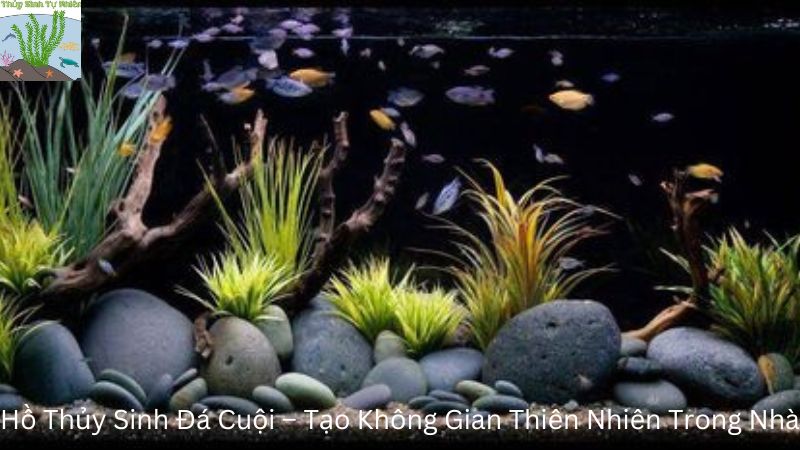 Hồ Thủy Sinh Đá Cuội – Tạo Không Gian Thiên Nhiên Trong Nhà